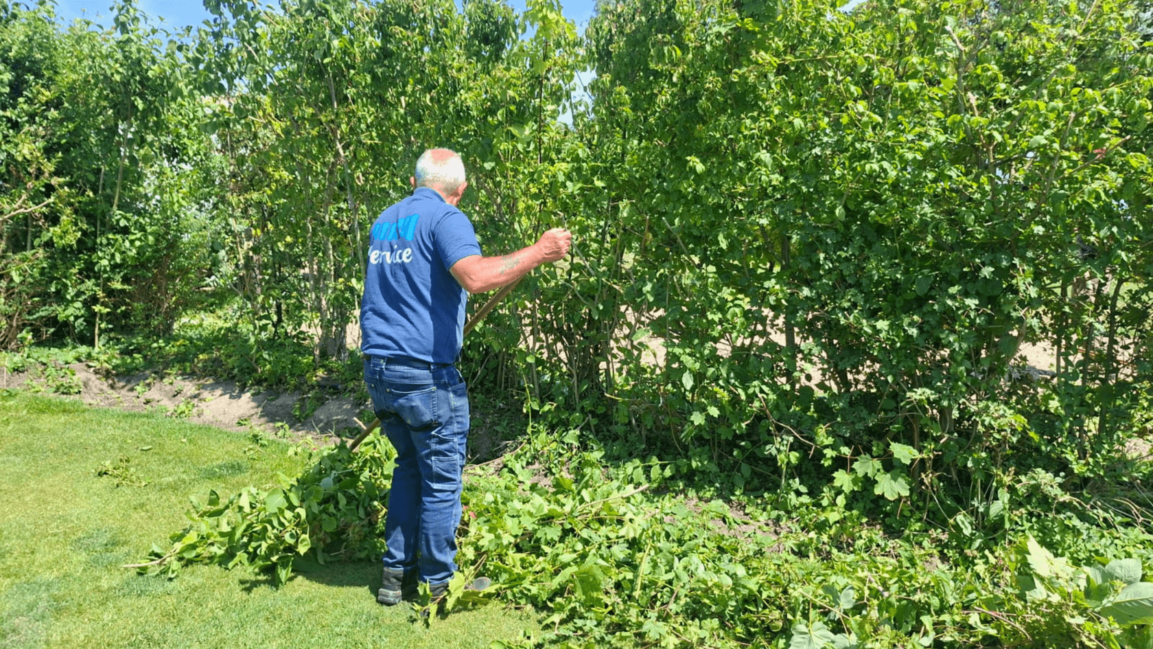 Vacature Coördinator Groendienst