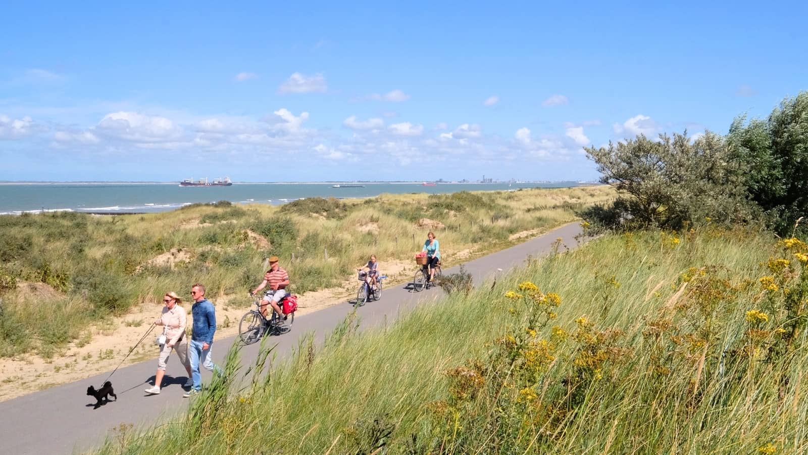 Cycling & walking