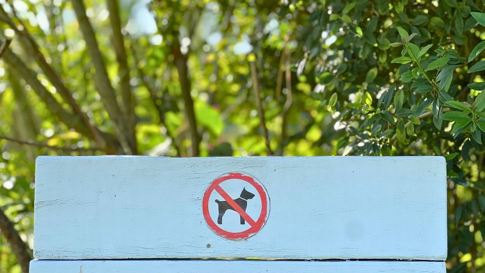 Dog-free camping pitches