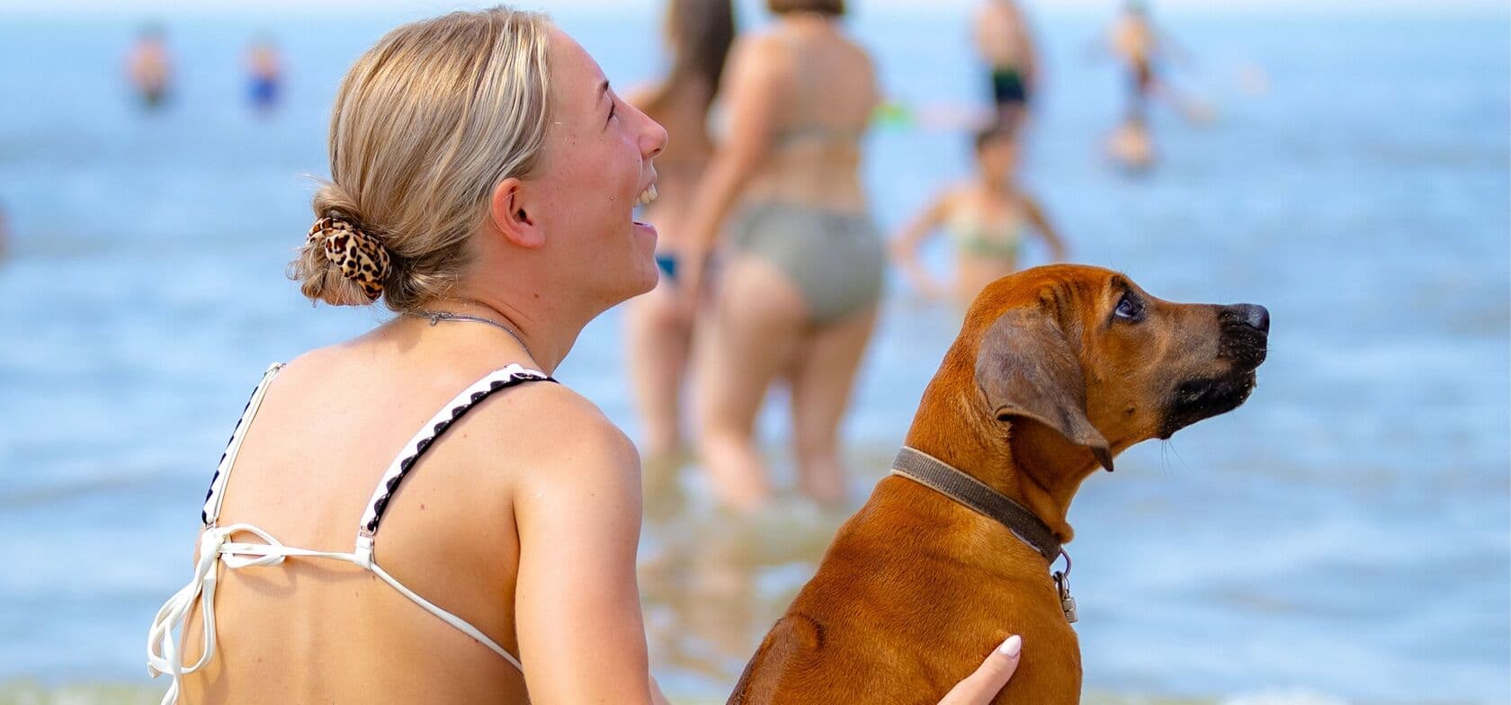 Eine Person sitzt am Strand und hält einen braunen Hund, der aufs Wasser blickt – im Hintergrund genießen andere Gäste in Badebekleidung das Meer.