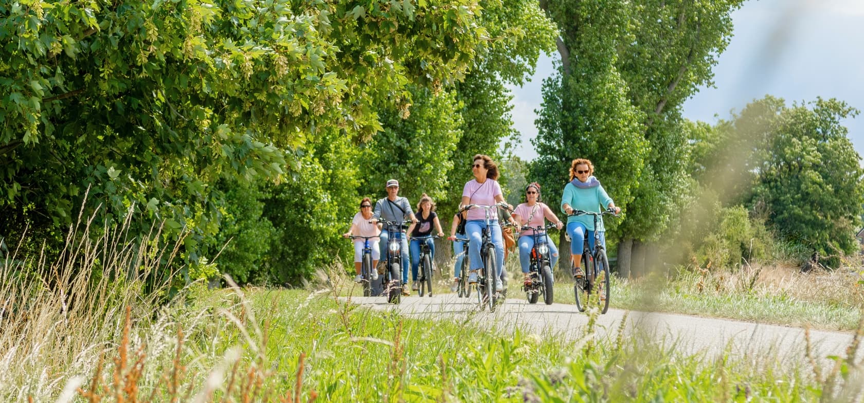 Een groep van zes mensen fietst over een geplaveid pad door een groene, met bomen omzoomde omgeving – ideaal voor een ontspannen fietstocht vanaf de camping.