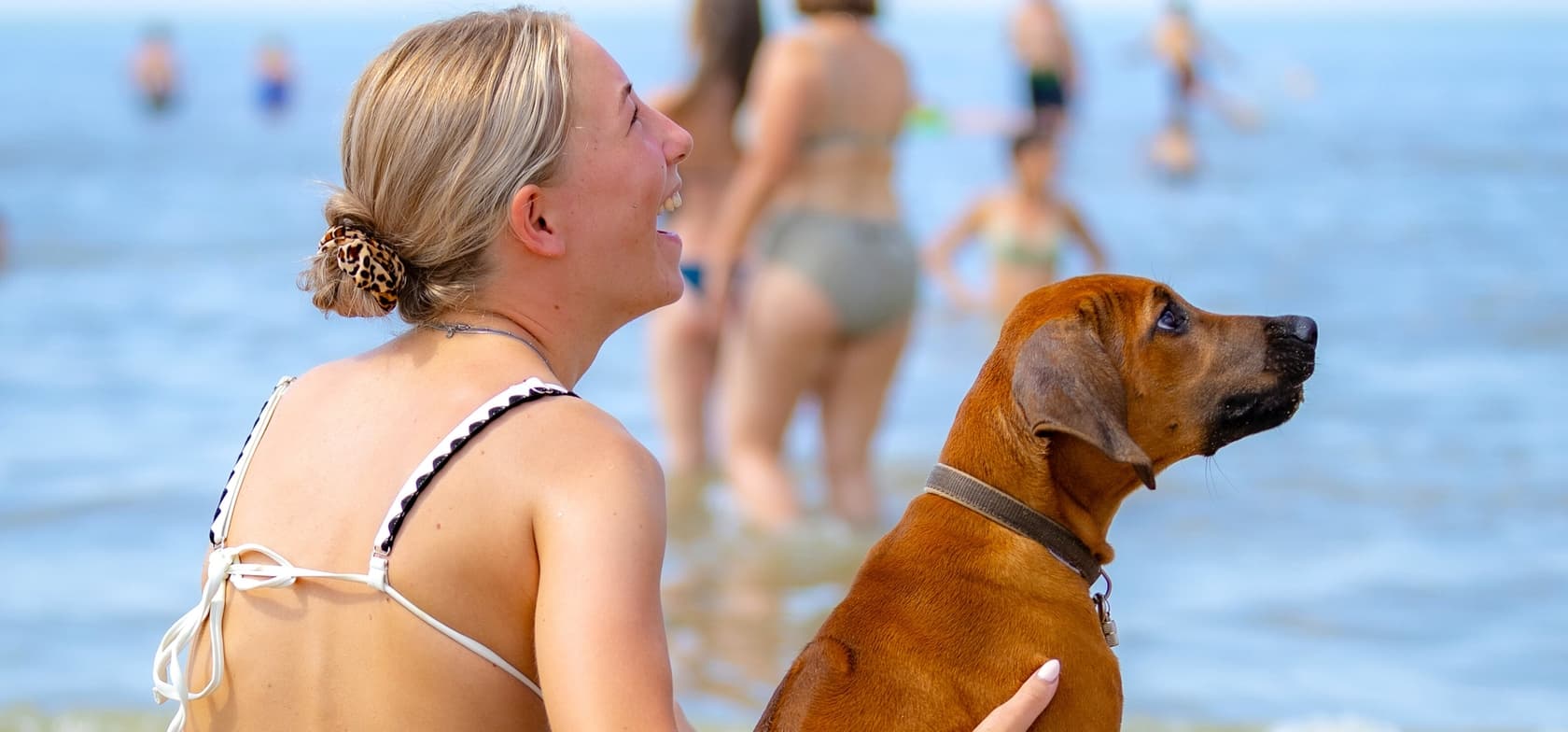 Een persoon zit op het strand en houdt een bruine hond vast die naar het water kijkt – op de achtergrond genieten andere gasten van de zee.